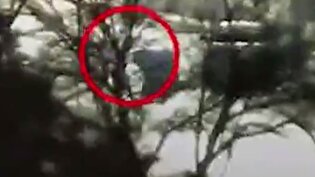 پروژه کشته سازی