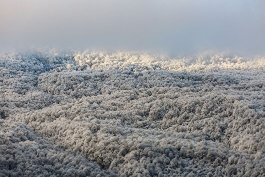 مدیریت، در برف گلستان یخ زد!
