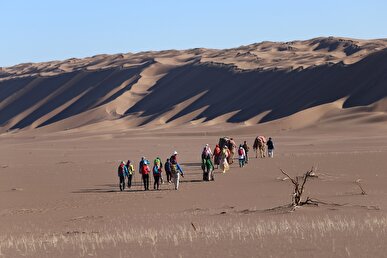 حریر طلایی کویر در خراسان جنوبی بر تن زمین می‌درخشد/«لوت» چگونه می‌تواند نهبندان را ثروتمند کند؟