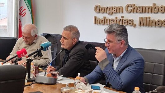 احیای پنبه در کشور به برنامه‌کاربردی و عملیاتی نیازمند است