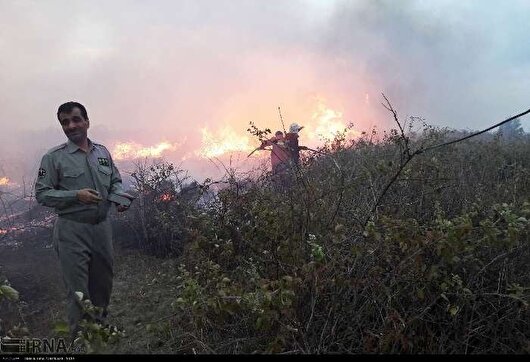 آتش سوزی در پناهگاه حیات وحش میانکاله/ حریق تحت کنترل است