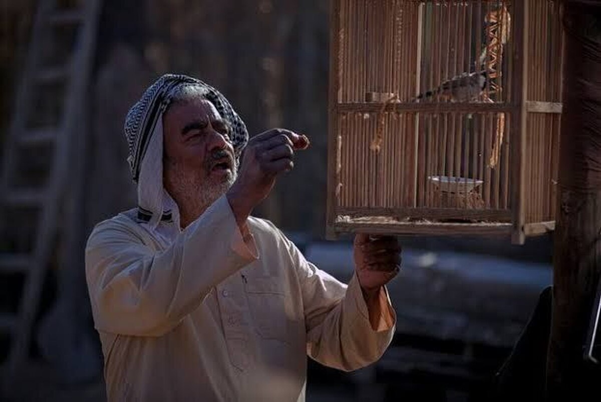 فیلم «پل» از محمد عسگری، کارگردان «آسمان غرب» + عکس، خلاصه داستان و بازیگران