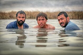 فیلم پل؛ روایتی شیرین از انسان‌دوستی با حال و هوای تلخ دفاع مقدس