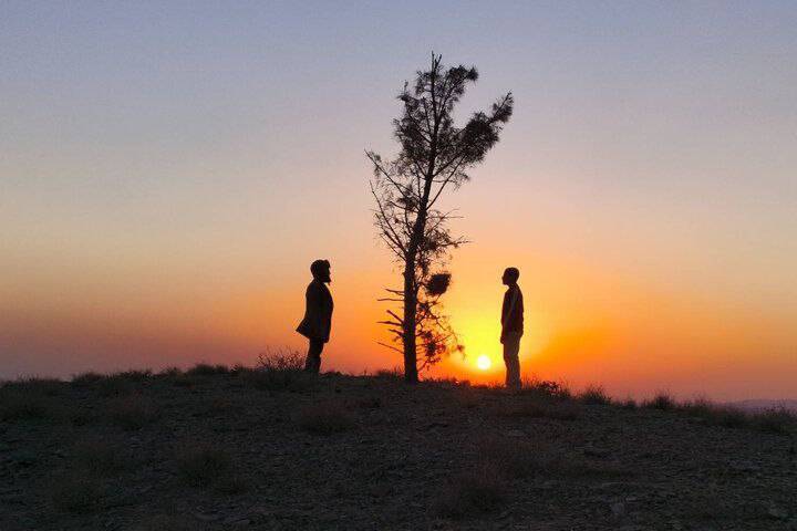 روز هشتم چهل و چهارمین جشنواره فیلم فجر با &laquo;قایق سواری در تهران&raquo;، &laquo;جانشین&raquo; و &laquo;زندگی کوچک کوچک&raquo;
