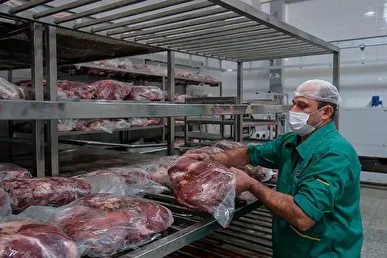 فرآورده‌های گوشتی معاف از مالیات ارزش‌افزوده شد