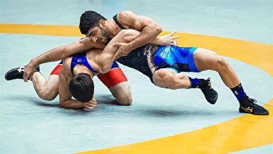 حسینوند به مدال طلا رسید + فیلم