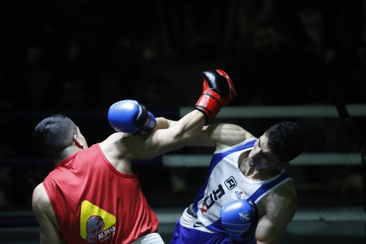 استکی مدیر فنی تیم ملی بوکس شد