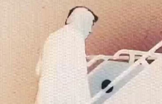 در معرکه این بار به تنگ آمده روباه