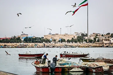 آغاز فاز دوم اسکله صیادی جفره بوشهر پس از ۷ سال وقفه
