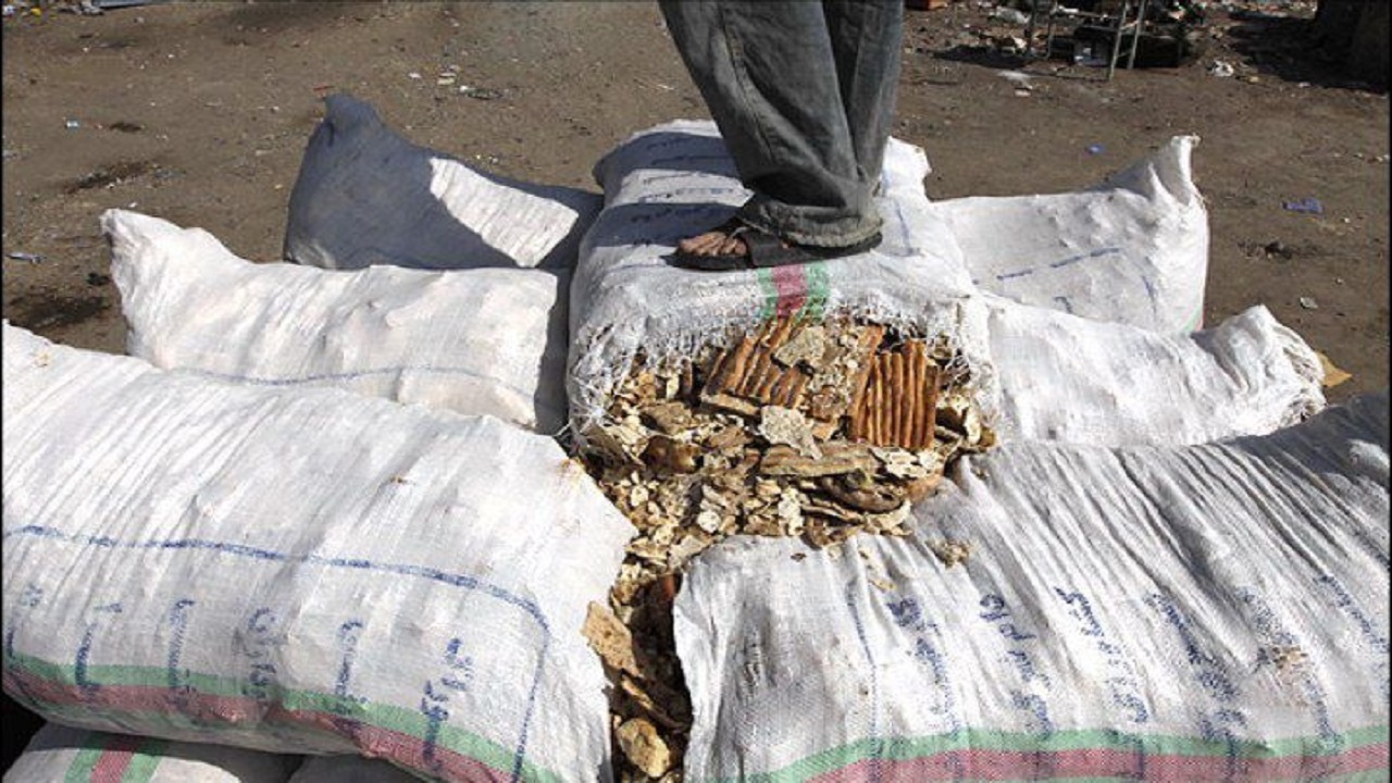 برکتی که خوراک دام می&zwnj;شود/ صفوف طولانی نان در خراسان شمالی