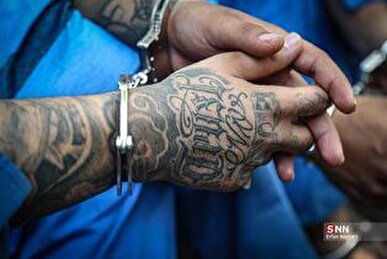 دستگیری یکی از گروهک‌های تروریستی منافقین در البرز