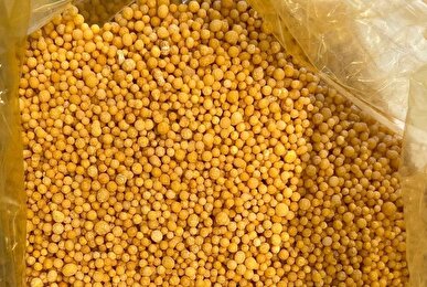 محصولات دانش‌بنیان ایرانی در راه بازارهای دامپروری منطقه