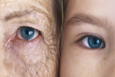 دو برهه پیر شدن سریع‌تر در انسان