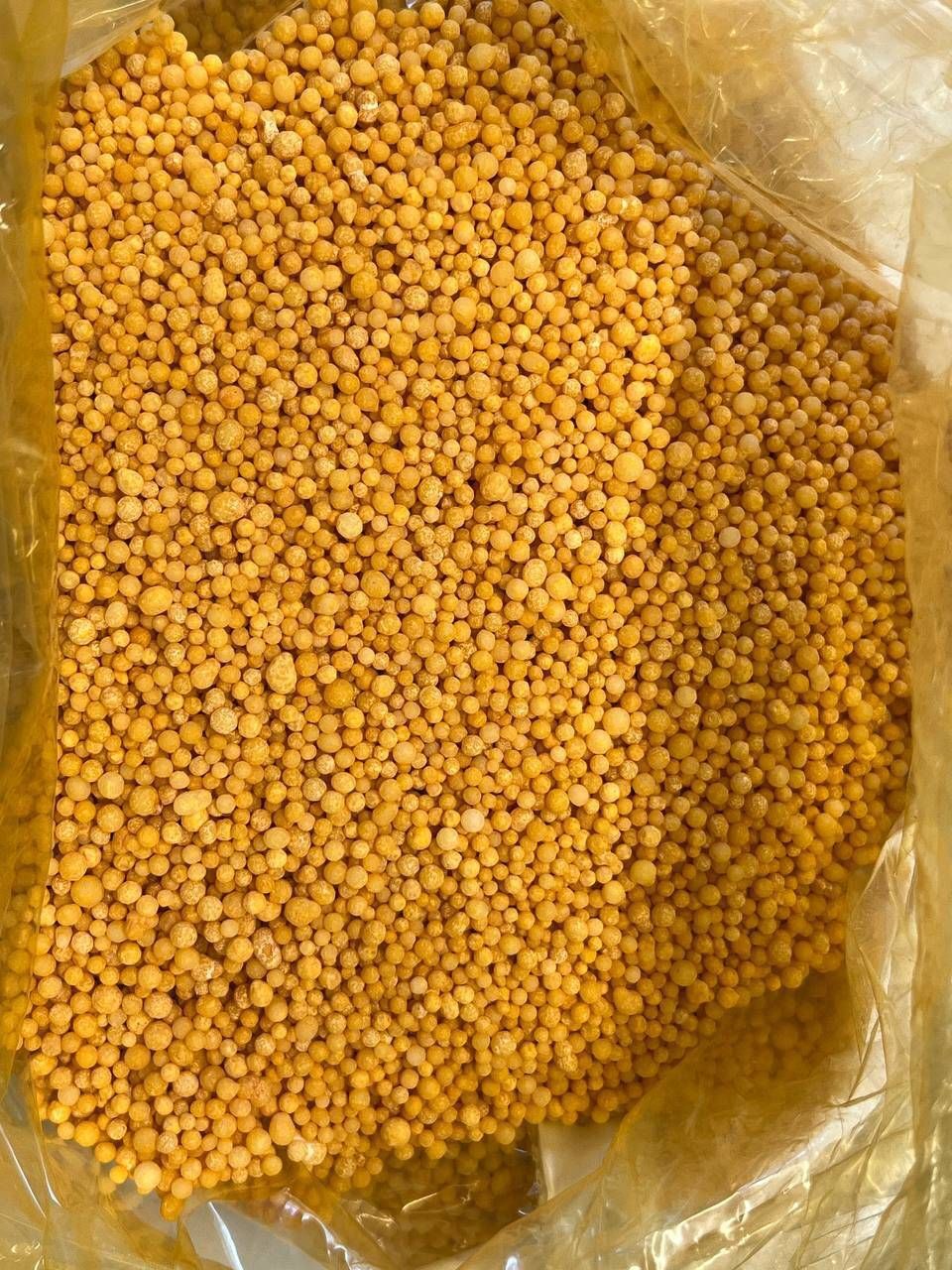 فتح بازار مگافارمهای ایران توسط یک شرکت دانش بنیان در پارک علم و فناوری دانشگاه تهران