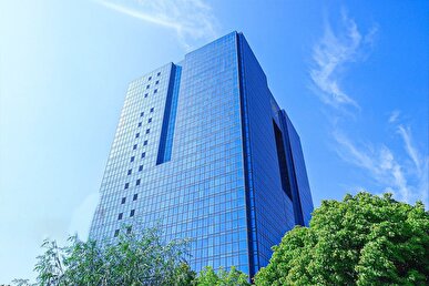 بانک مرکزی: مسئول قیمت‌گذاری خودرو سازمان حمایت است