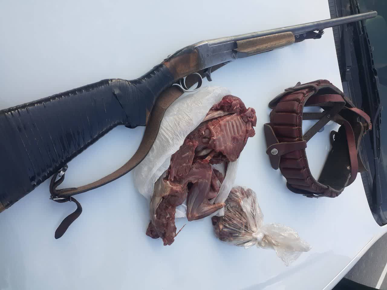 تشدید نظارتها بر عرصههای طبیعی ایلام؛ برخورد قاطع با صیادان و شکارچیان متخلف