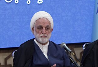 محسنی اژه‌ای: همه باید ملتزم به قانون باشیم؛ التزام به قانون یک اصل اساسی است؛ تخطی از قانون، به هیچ وجه جایز نیست