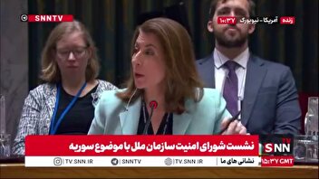 نماینده آمریکا: کردهای سوریه باید به حقوق خود دست پیدا کنند / ما تلاش میکنیم که سوریه و اسرائیل به توافق برسند