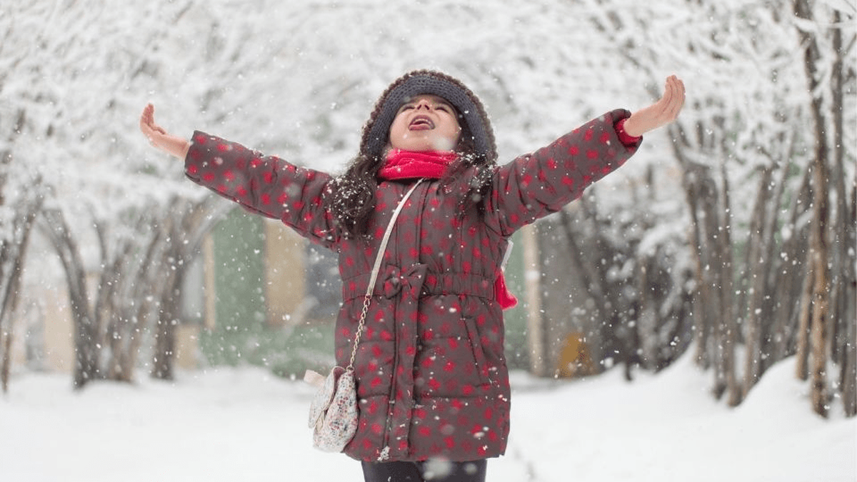 مدارس و ادارات این استان‌ها فردا مجازی و دورکار است