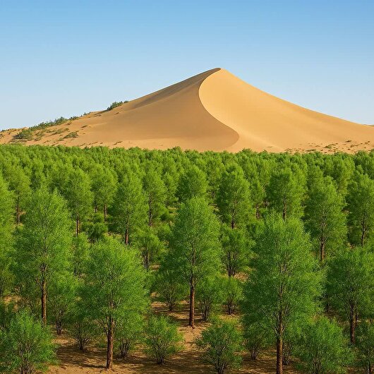 بهارانههای طبیعت در راه سمنان / توزیع دو میلیون اصله نهال در استان سمنان آغاز شد