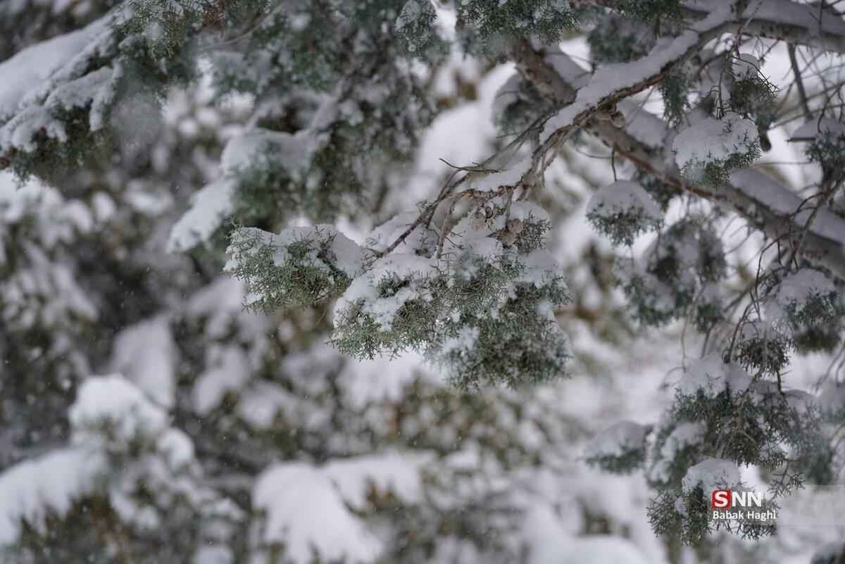 هشدار نارنجی بارش برف و باران در نیمه جنوبی کشور