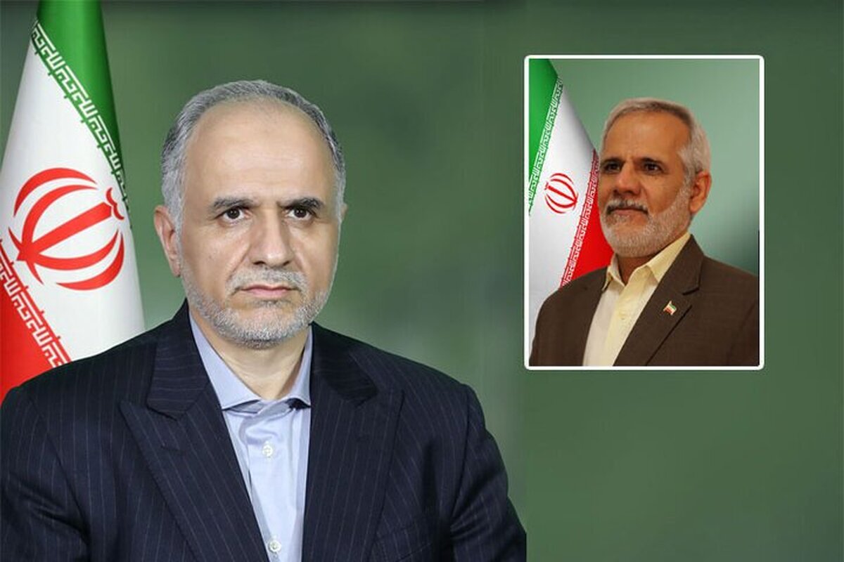 دبیر مرجع ملی کنوانسیون حقوق کودک منصوب شد