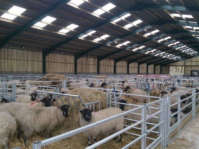 ۴۲۶۳ هزار دادم سبک و سنگین در چهارمحال و بختیاری واکسینه شدند