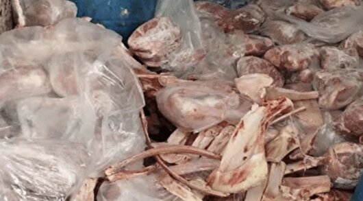 کشف و امحای گوشت شتر تاریخ‌گذشته در بازرسی‌های دامپزشکی خمینی‌شهر