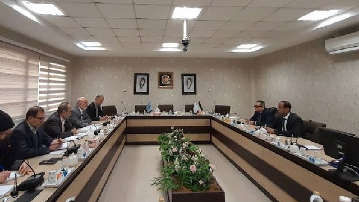 تأکید ایران و مصر بر تقویت همکاری‌های مشترک قضایی در چارچوب شانگهای