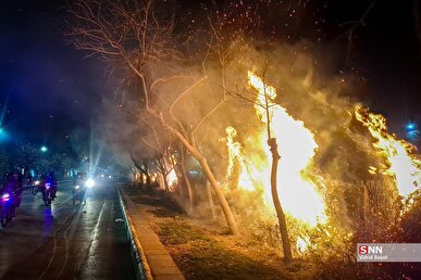 بازداشت بیش از ۸۰ عامل اصلی - میدانی و مزدور تخریبگر اموال مردم در استان سمنان