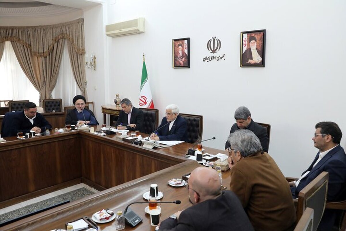 تأکید عارف بر نقش محوری نخبگان در مدیریت بحران