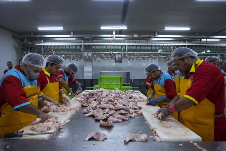 توزیع ۸۵۰ تُن گوشت و مرغ مازندران در تهران و استان‌های همجوار