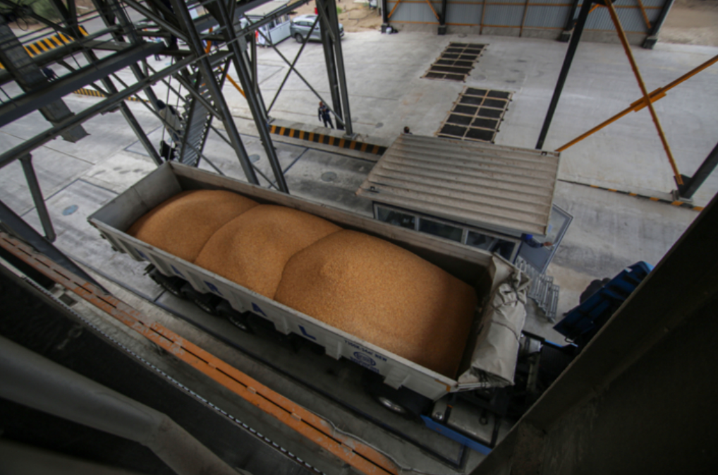 پهلوگیری کشتی حامل سه هزار تن گندم در بندر امیرآباد مازندران