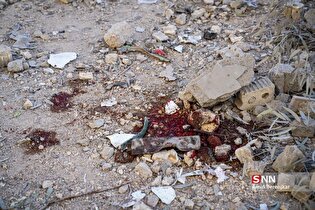 حمله هوایی رژیم صهیونیستی به کمپ و پایگاه اورژانس شهرک زیباشهر شیراز