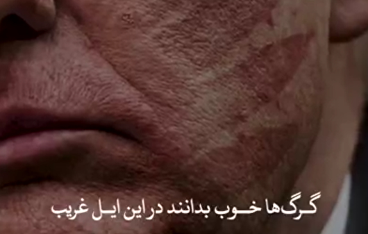 گرگ‌ها خوب بدانند در این ایل غریب، گر پدر نیست تفنگ پدری هست هنوز