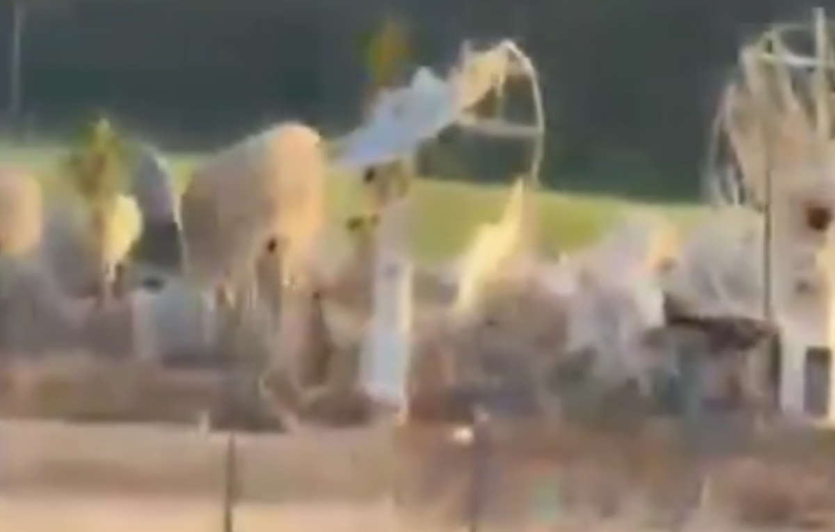 موشک به یک مرکز استراتژیک خورده و ادارۀ سانسور اجازه نمی‌دهد نام و محل آن را بگوییم