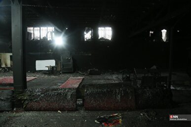 توحش سلطنت طلب‌ها، برای خلق آزادی با سرقت! + فیلم