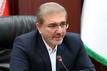 منظور: اقتصاد ایران در معرض شوکهای بیرونی است/ حذف ارز ترجیحی اثر تورمی کوتاهمدت دارد
