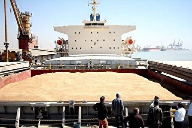 ورود ۱۸ کشتی اقیانوس‌پیما به چابهار برای تأمین گندم ۱۱ استان کشور طی سال جاری