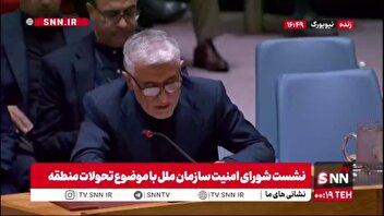 ایروانی: تصویب قطعنامه امروز علیه ایران ضربه‌ای جدی به اعتبار شورای امنیت وارد کرده و لکه‌ای ماندگار بر کارنامه آن برجای می‌گذارد