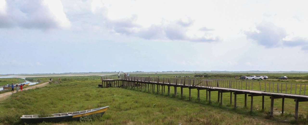 تلاش متخلفان برای تصرف بخش&zwnj;هایی از تالاب&zwnj; انزلی ناکام ماند