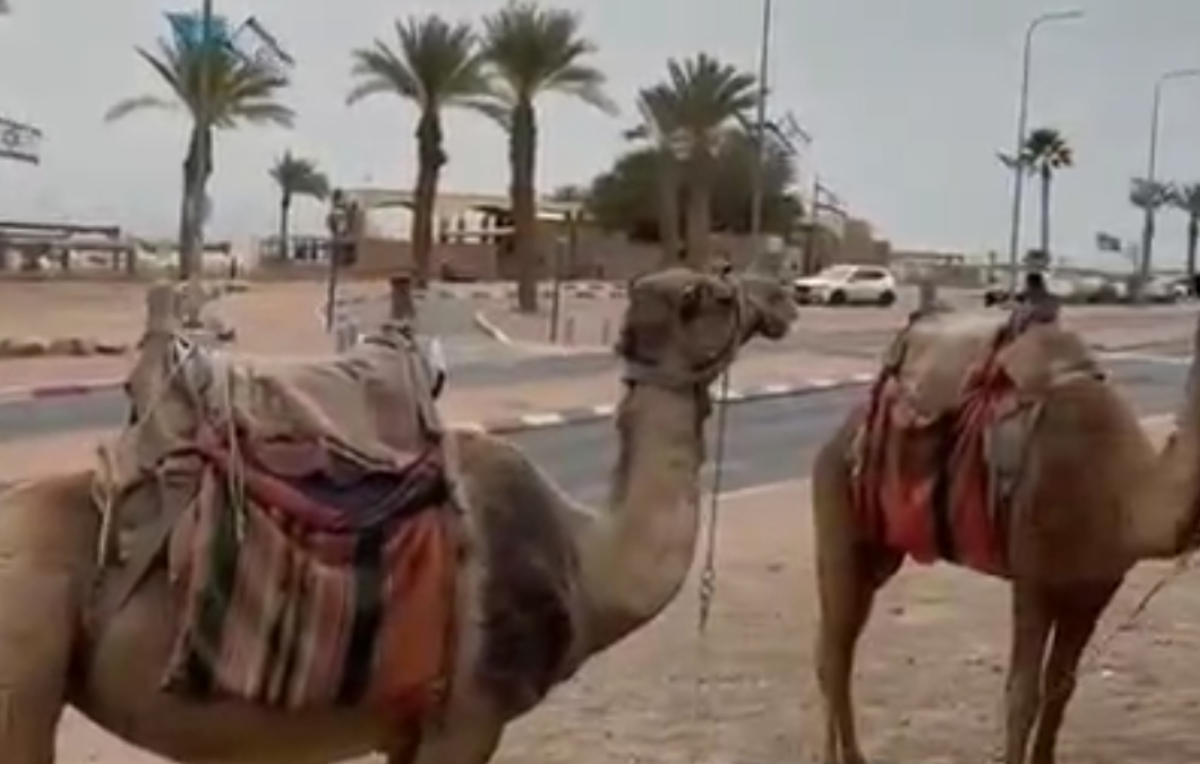 صدای آژیر&zwnj;ها در جنوب سرزمین&zwnj;های اشغالی