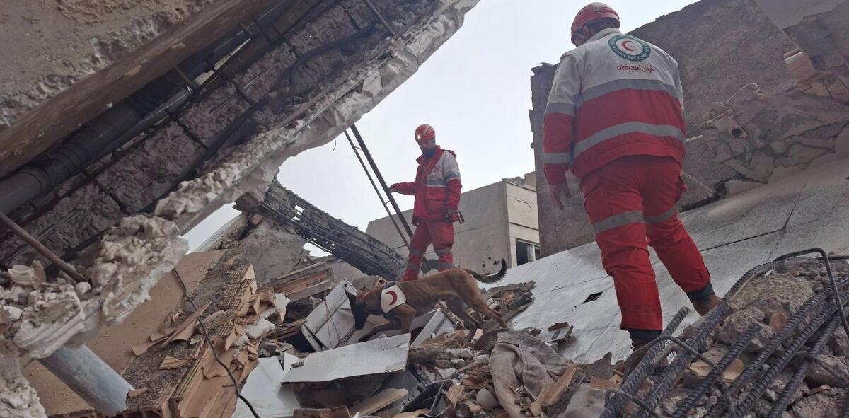 در جست&zwnj;وجوی زندگی زیر آوار جنگ/ روایت امدادگر و سگ زنده&zwnj;یابش از ۱۲ روز ماموریت سخت در تهران