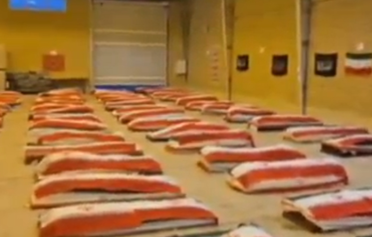 دریادلان ایران