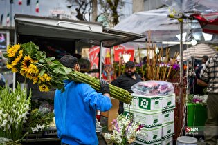 بهار در آخرین ساعت‌های سال ۱۴۰۴