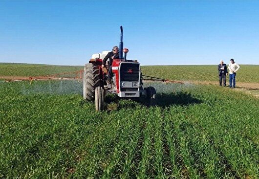 پرداخت ۱۱۰۰ میلیارد تومان تسهیلات به ۵۴۹ طرح کشاورزی در کرمانشاه