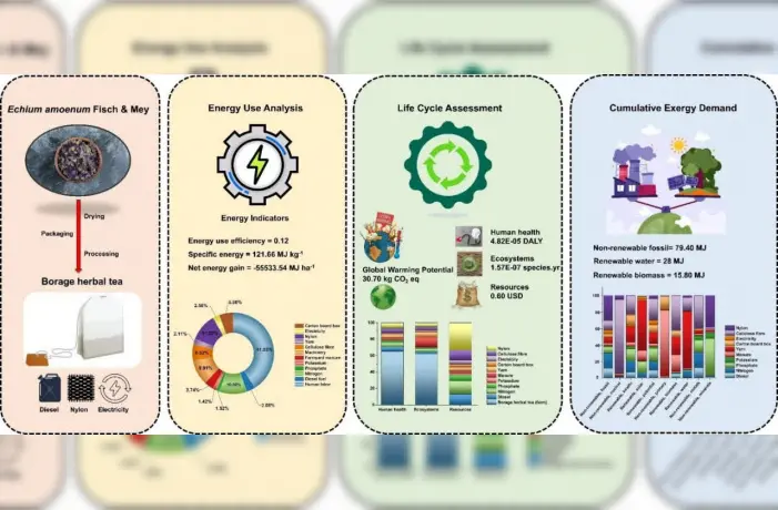 ارائه سه راهبرد برای گذار به کشاورزی مکانیزه و پایدار در زنجیره تولید گلگاوزبان ایرانی
