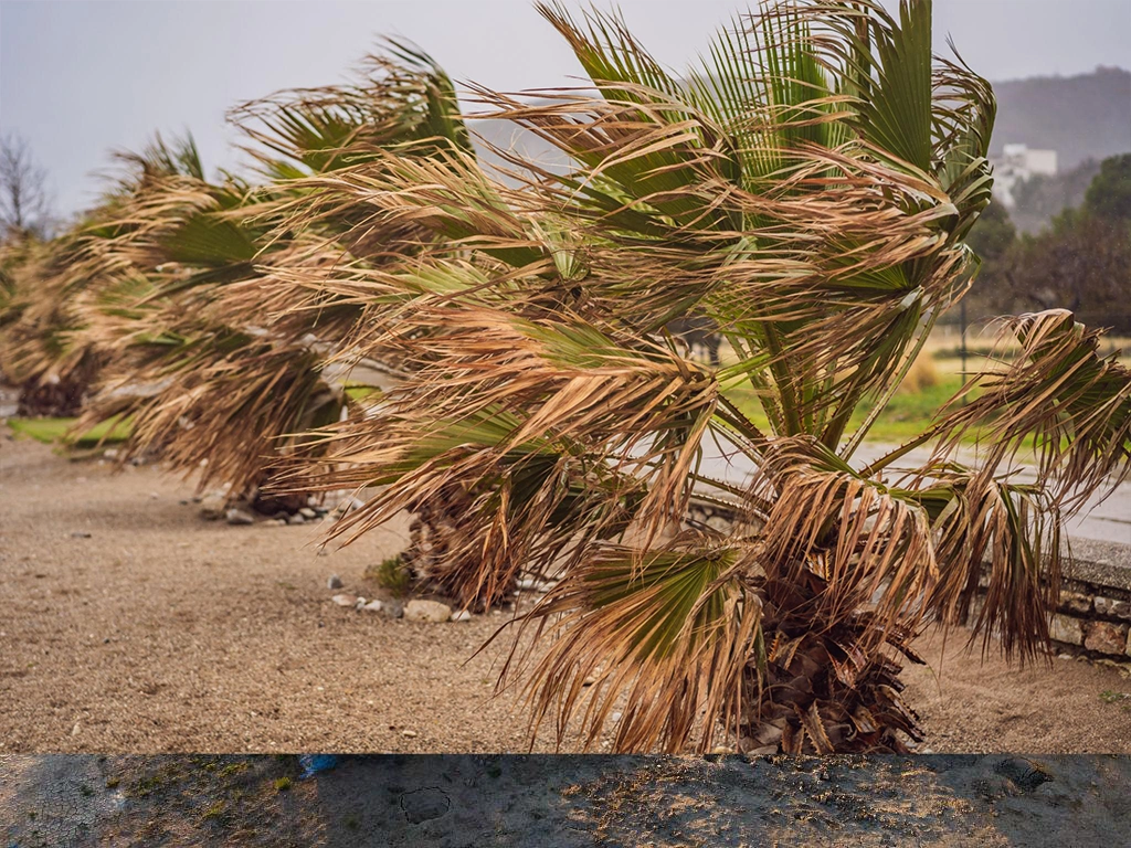 هشدار هواشناسی خوزستان نسبت به وزش باد شدید و کاهش محسوس دما در استان