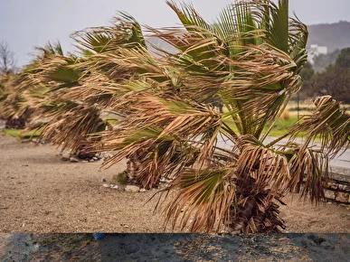 هشدار هواشناسی خوزستان نسبت به وزش باد شدید و کاهش محسوس دما در استان