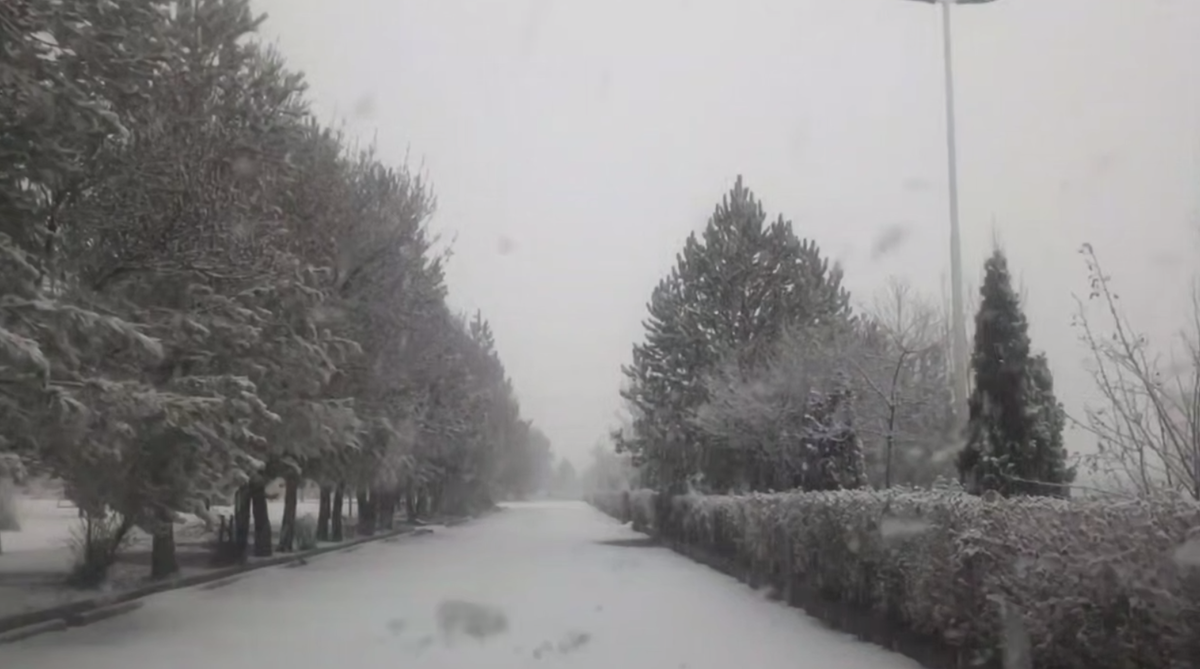 مدارس ابتدایی اردبیل در «نوبت عصر » غیر حضوری شد/تصاویری از بارش رحمت الهی در استان